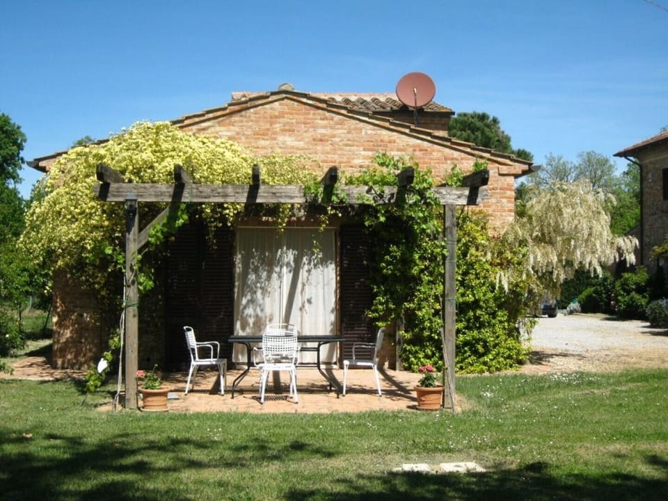 patio from garden
