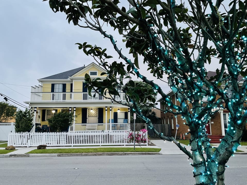 Lighted trees along the street festively change with the season! 