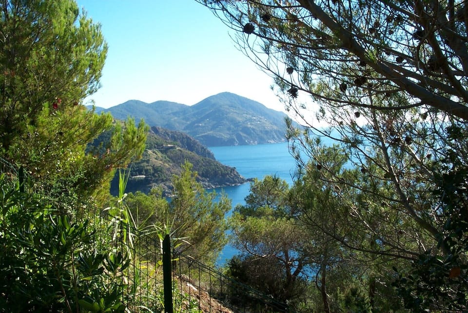 Detached villa, near 5 Terre, sea view, with park and private parking space House in Liguria