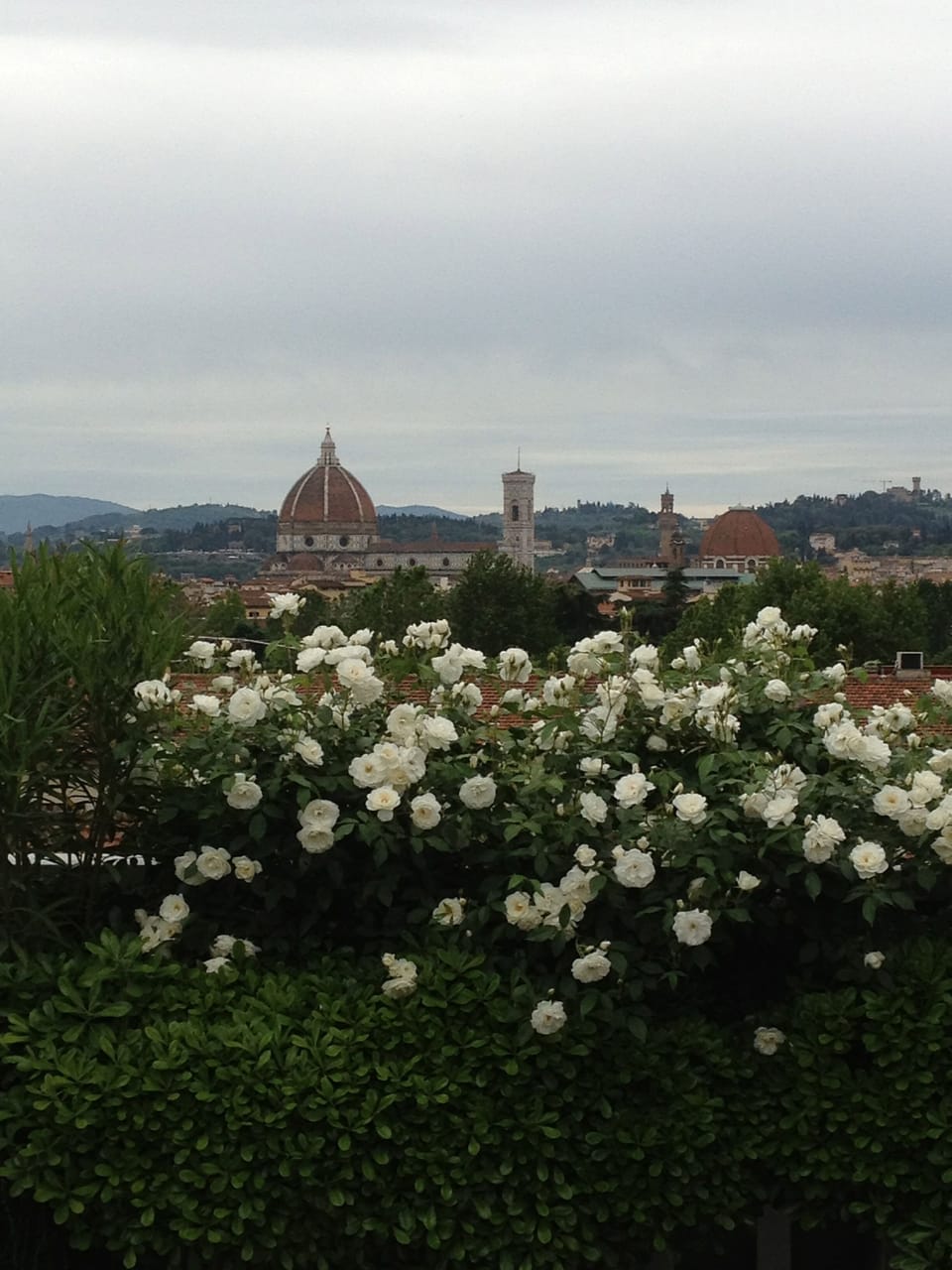 Florence 360 view from the terrace