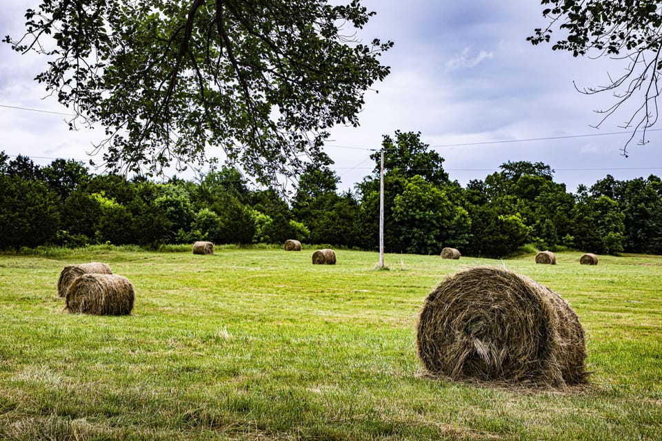 or the hay bales or cows in the fields.
