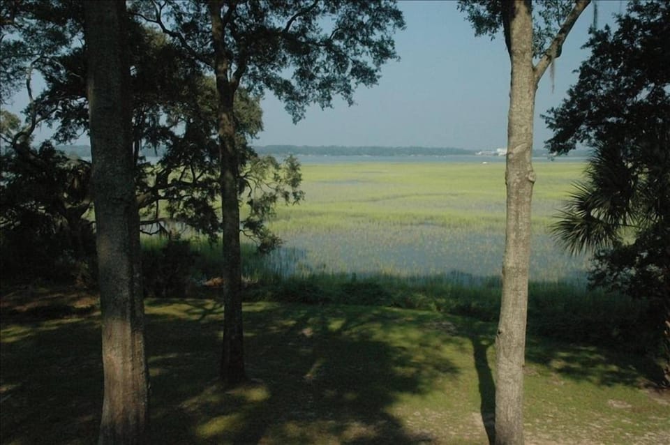 View of marsh and river 