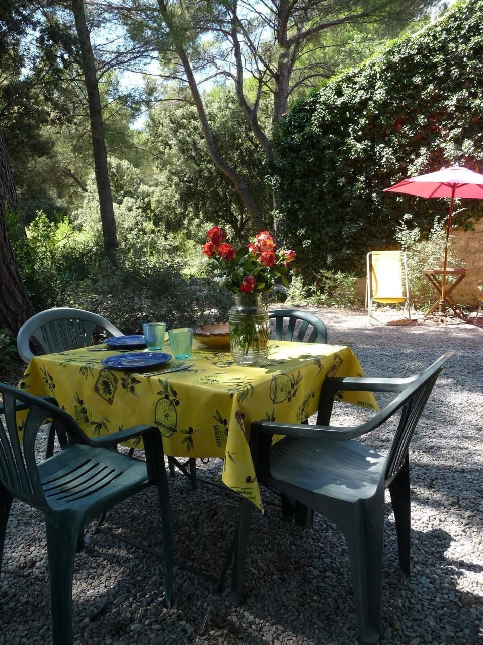 Gardin