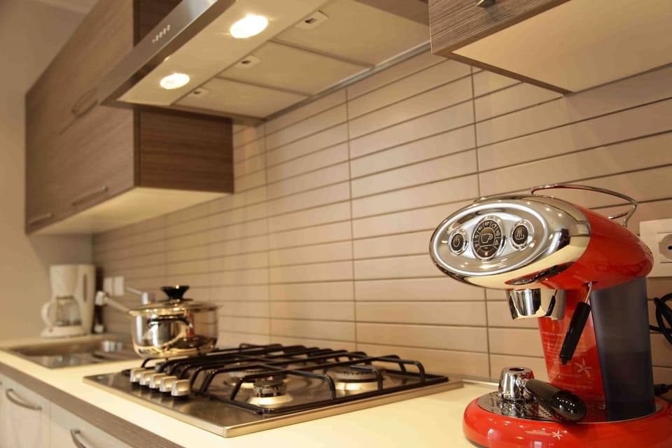 The kitchen is equipped with all the necessary