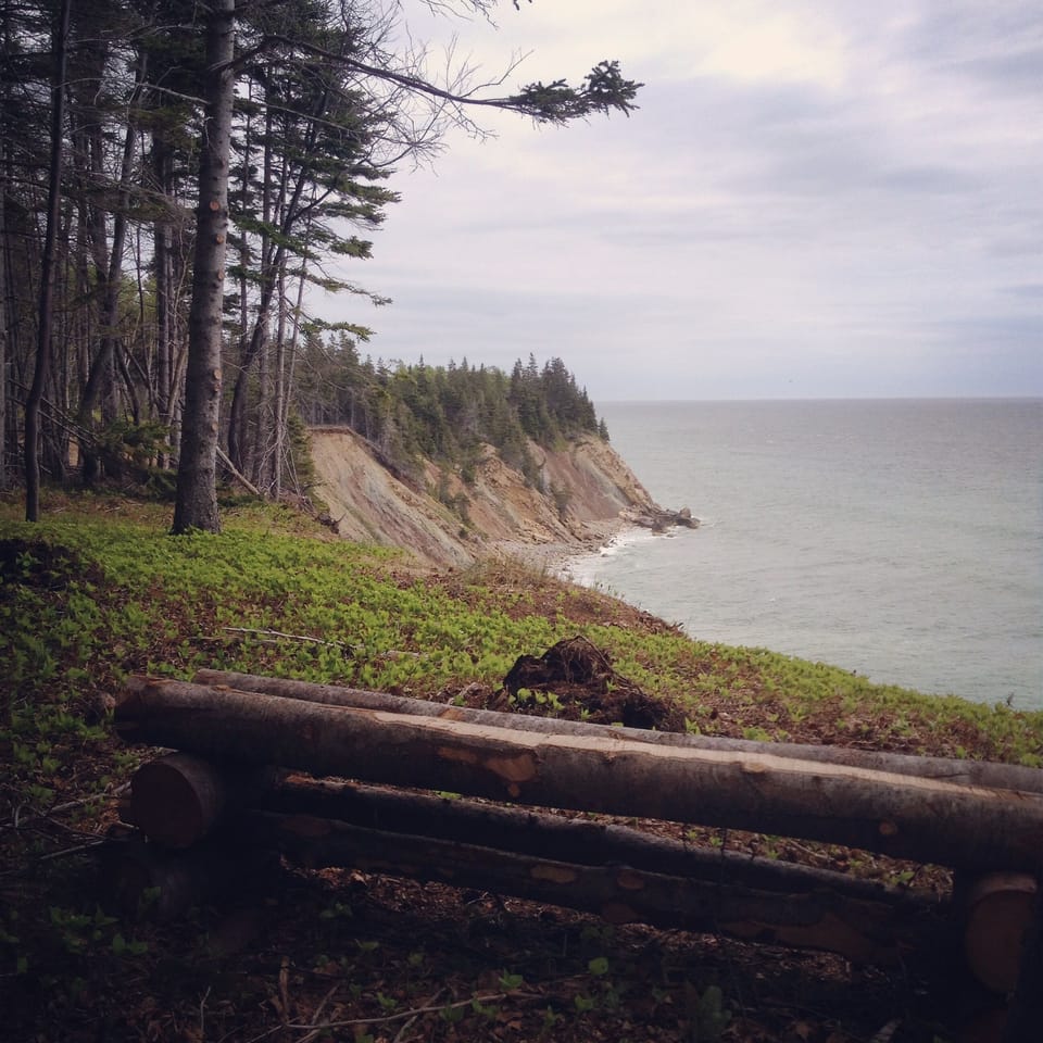 The view from the look-off