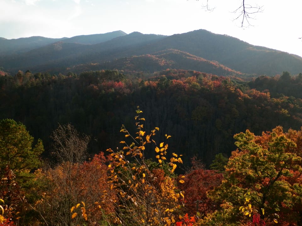 Breathtaking Smoky Mountain view (can hear Tuckasegee River flowing below)