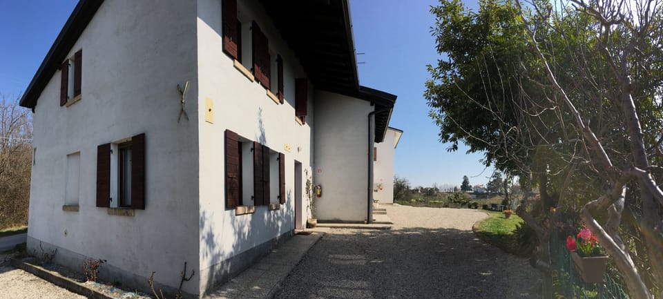 the house