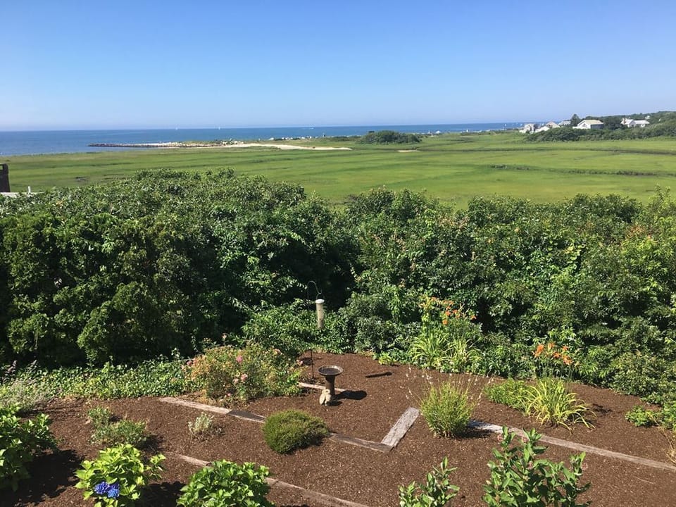Garden Located Below Rear Deck