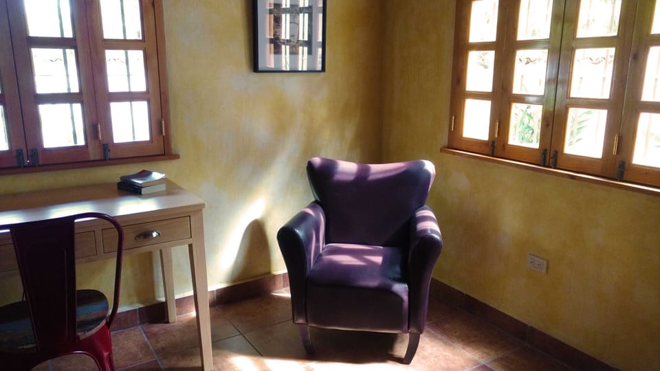 Late afternoon sun in the living room reading chair.