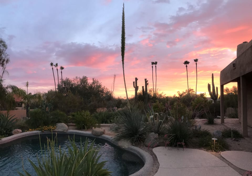 Improved sunset view and more sunshine on the pool patio!

