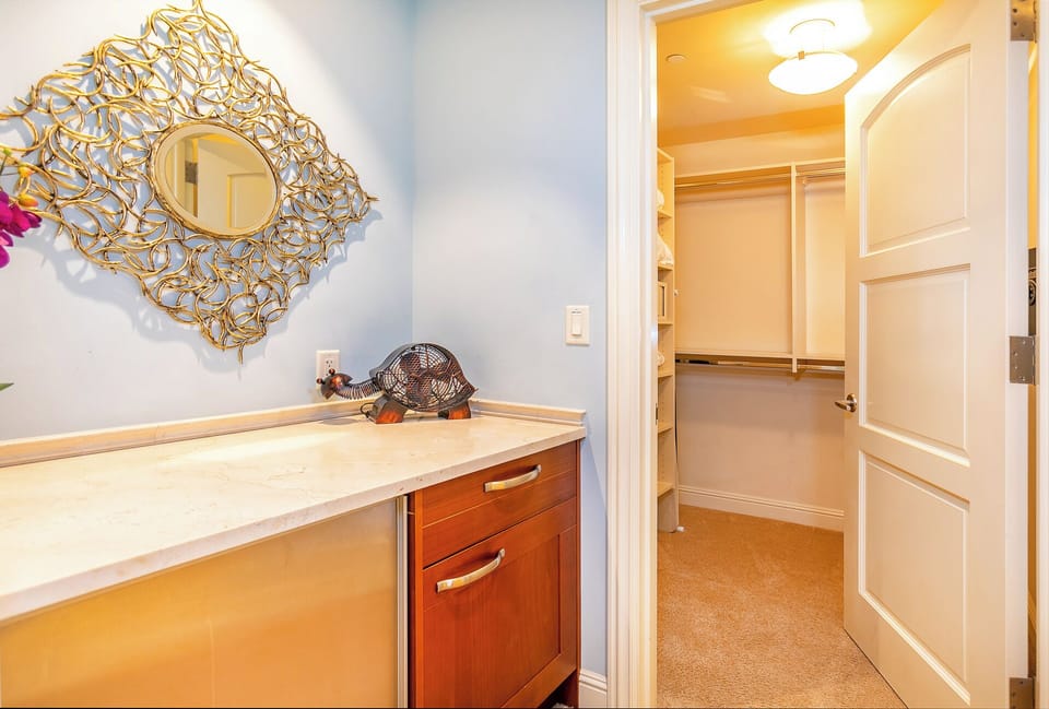 Large walk in closet off of primary bath