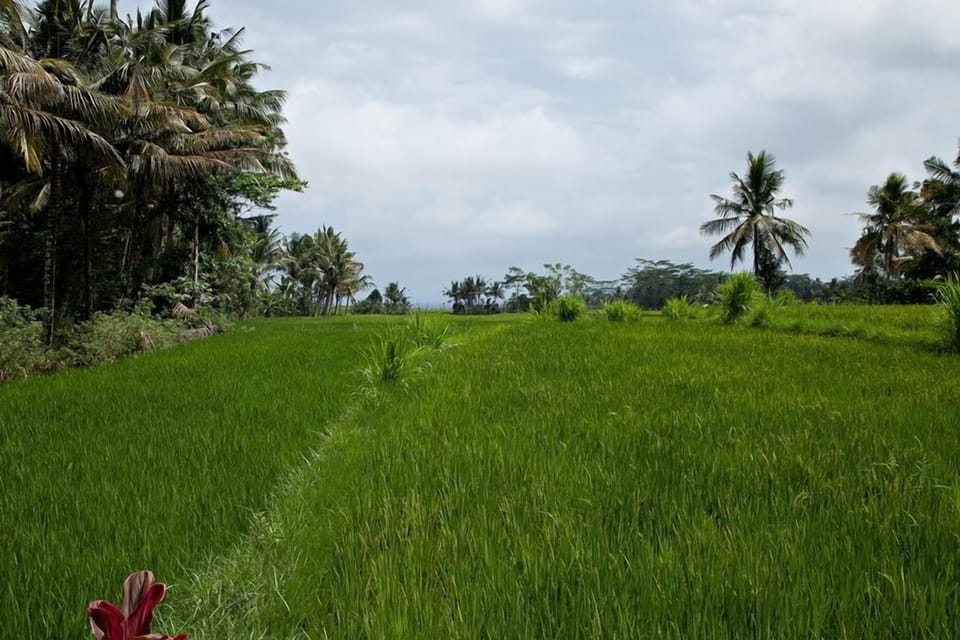 3 Bed Villa Traditional Style Near Ubud;
