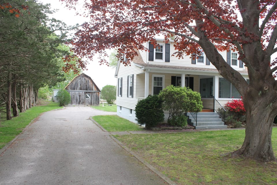 View down driveway.