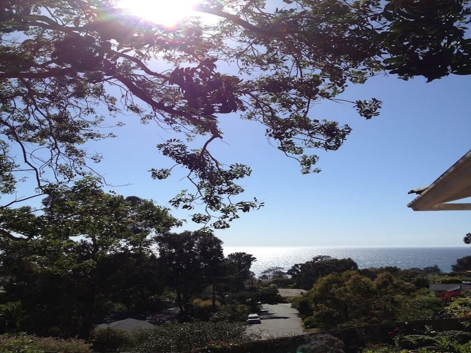 Photo from back yard.