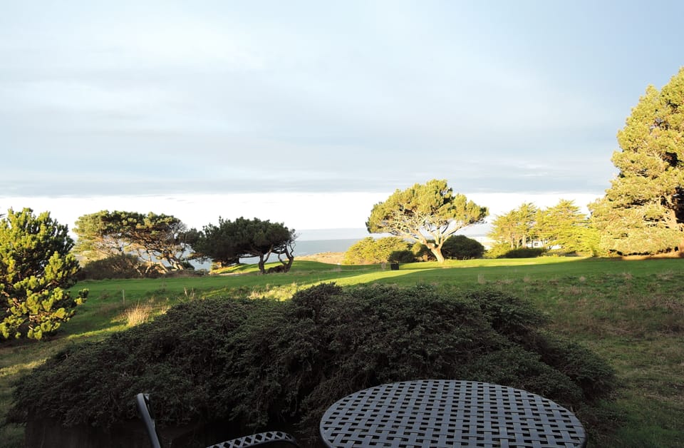 Early Morning View from Patio