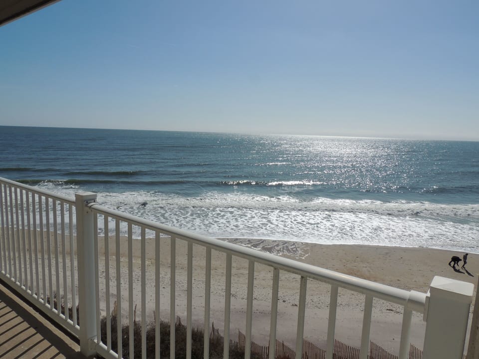 View from the main balcony