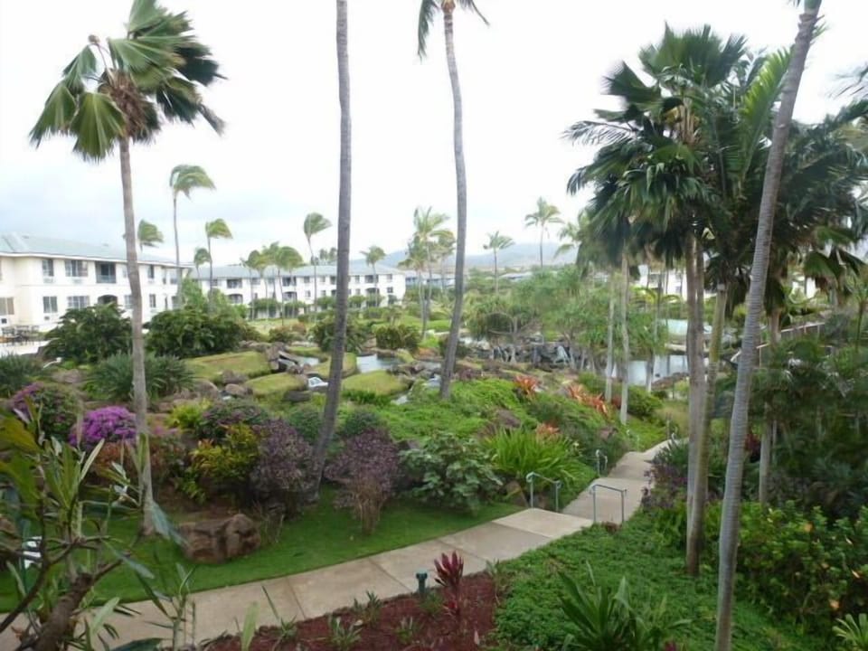 Tropical landscape area overlooking the pool.
