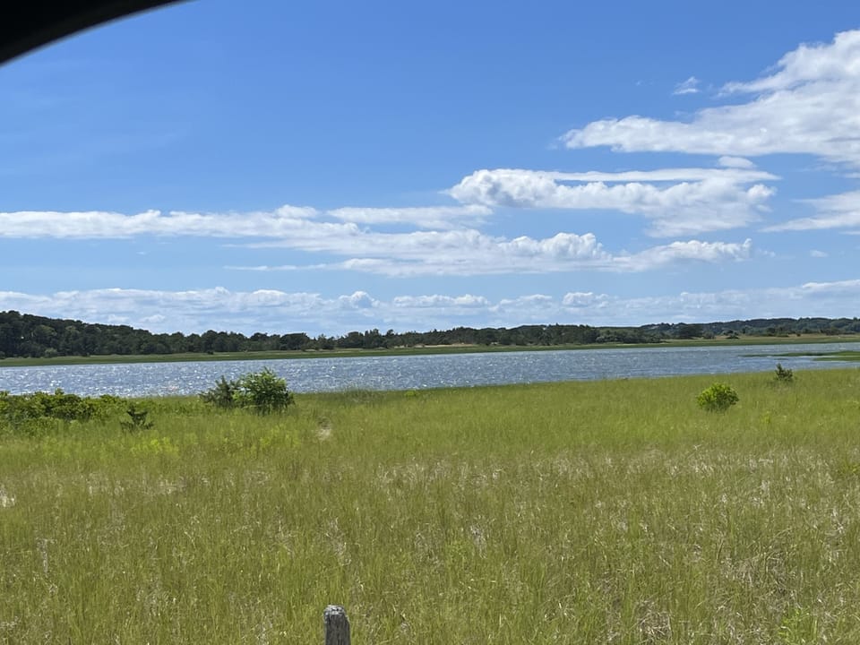 Chipman's Cove