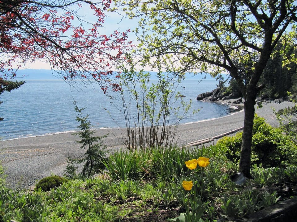 The beach at Driftwood Beach House, May 1 2013.