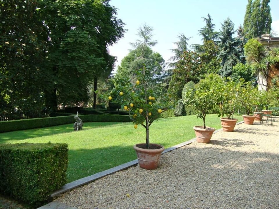 Garden, Park
