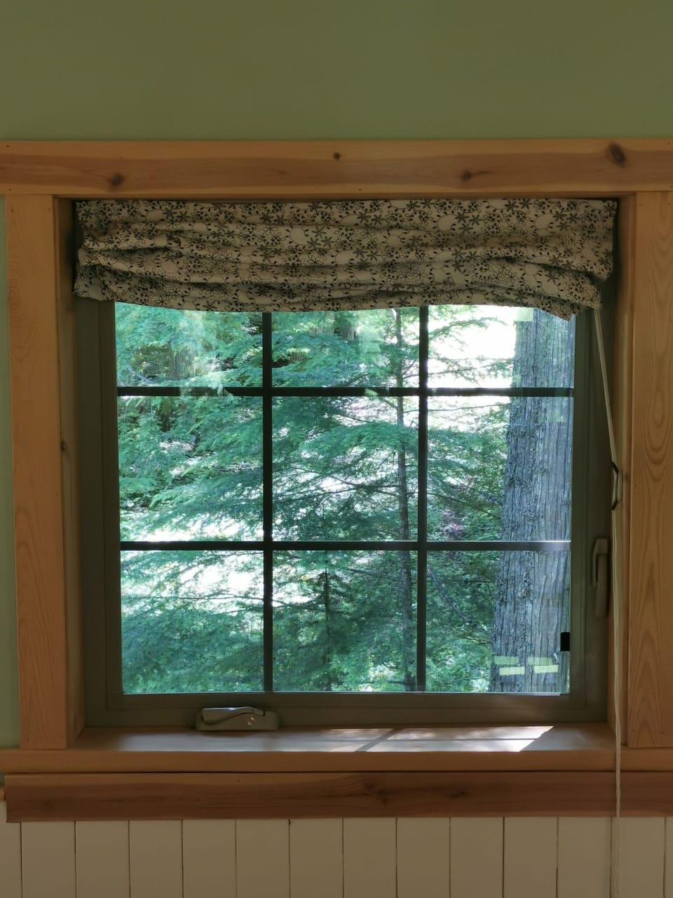 Forest view from your bedroom window - Wedgwood Estate Cabins