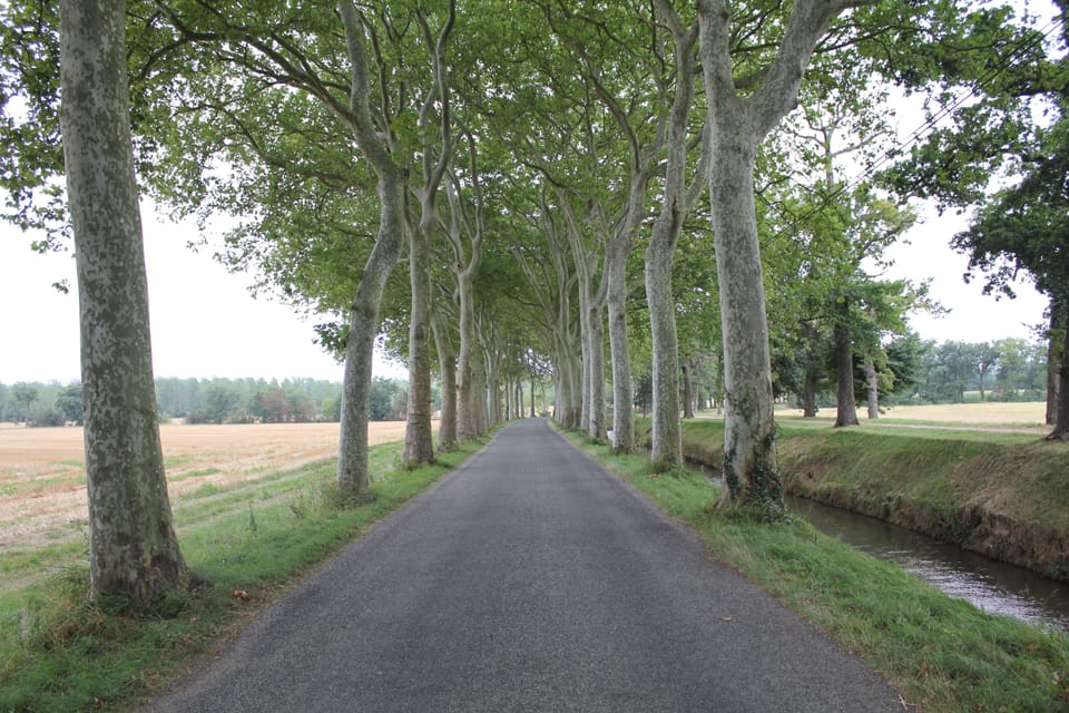 ...and tree-lined country roads