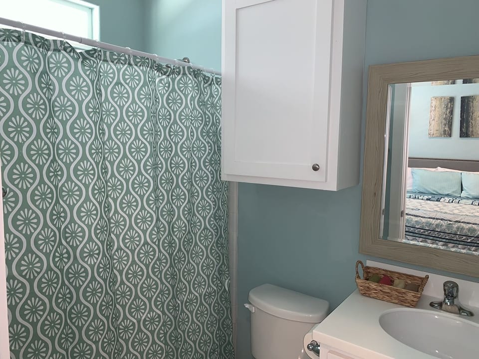 Master bathroom (left) with shower