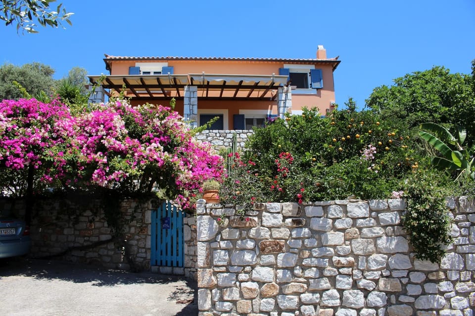 Main view
