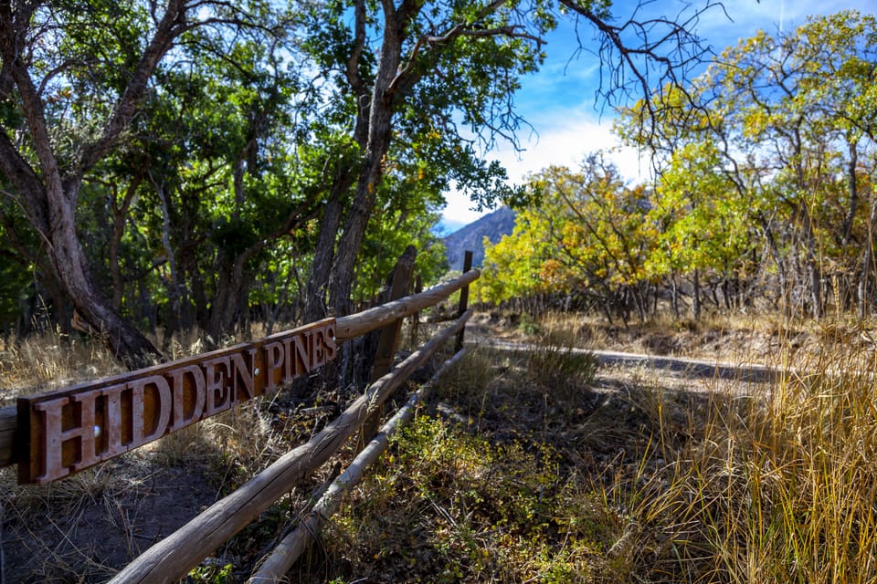 Arrival gate. Photo by Bob Hodson Photography