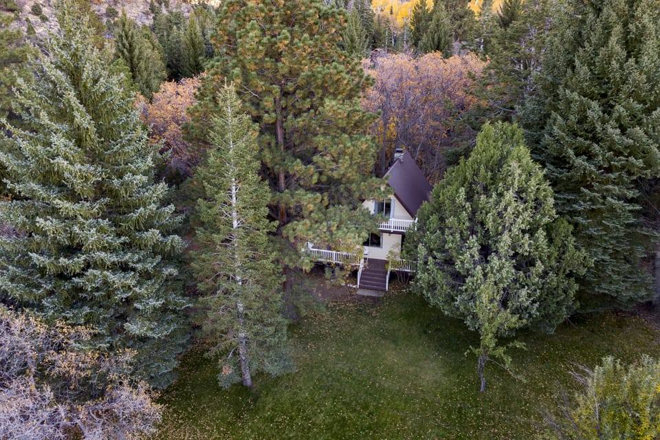 Birds eye view Hidden Pines A frame cabin by Bob Hodson Photography