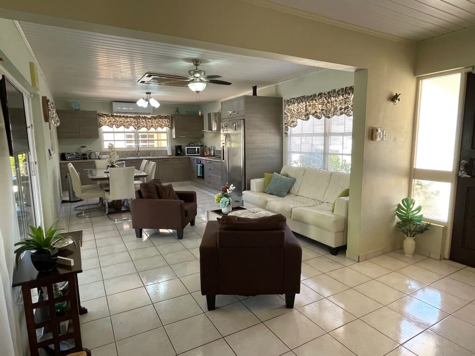 Open concept living room/kitchen
