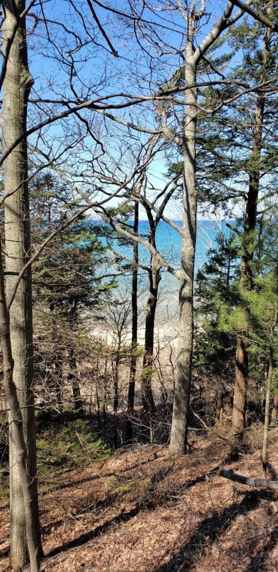 View from patio April 2020