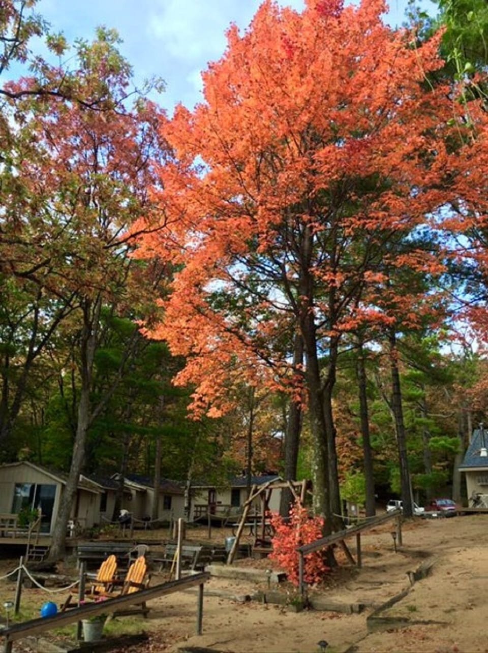 Common area in Fall