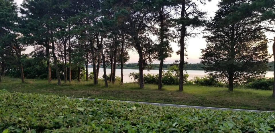 Salt Pond Bird Sanctuary Across Street