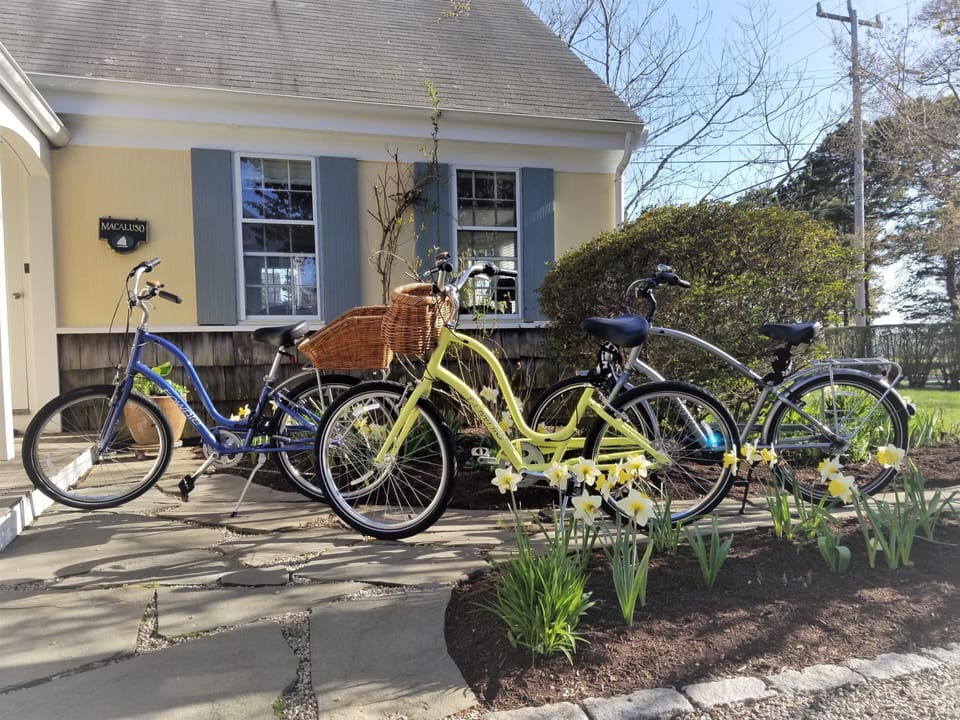Trek Electra Bikes