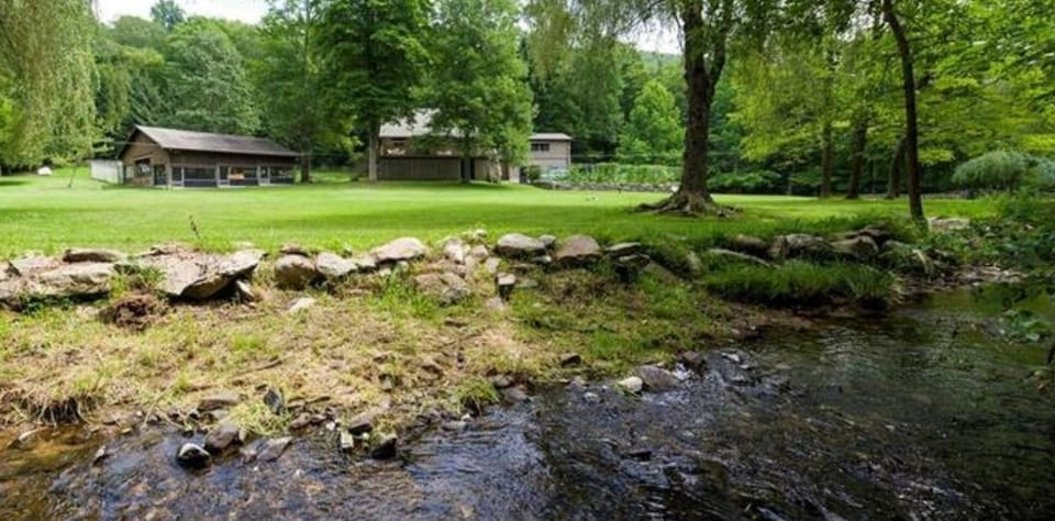 Stream behind house