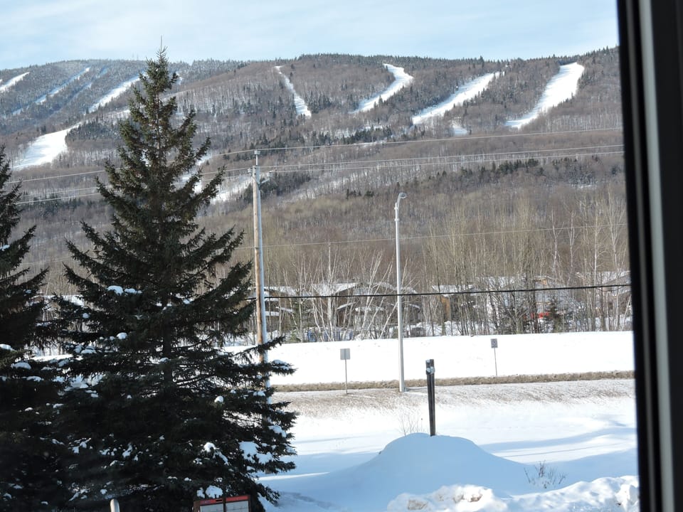 Vue du salon sur la montagne