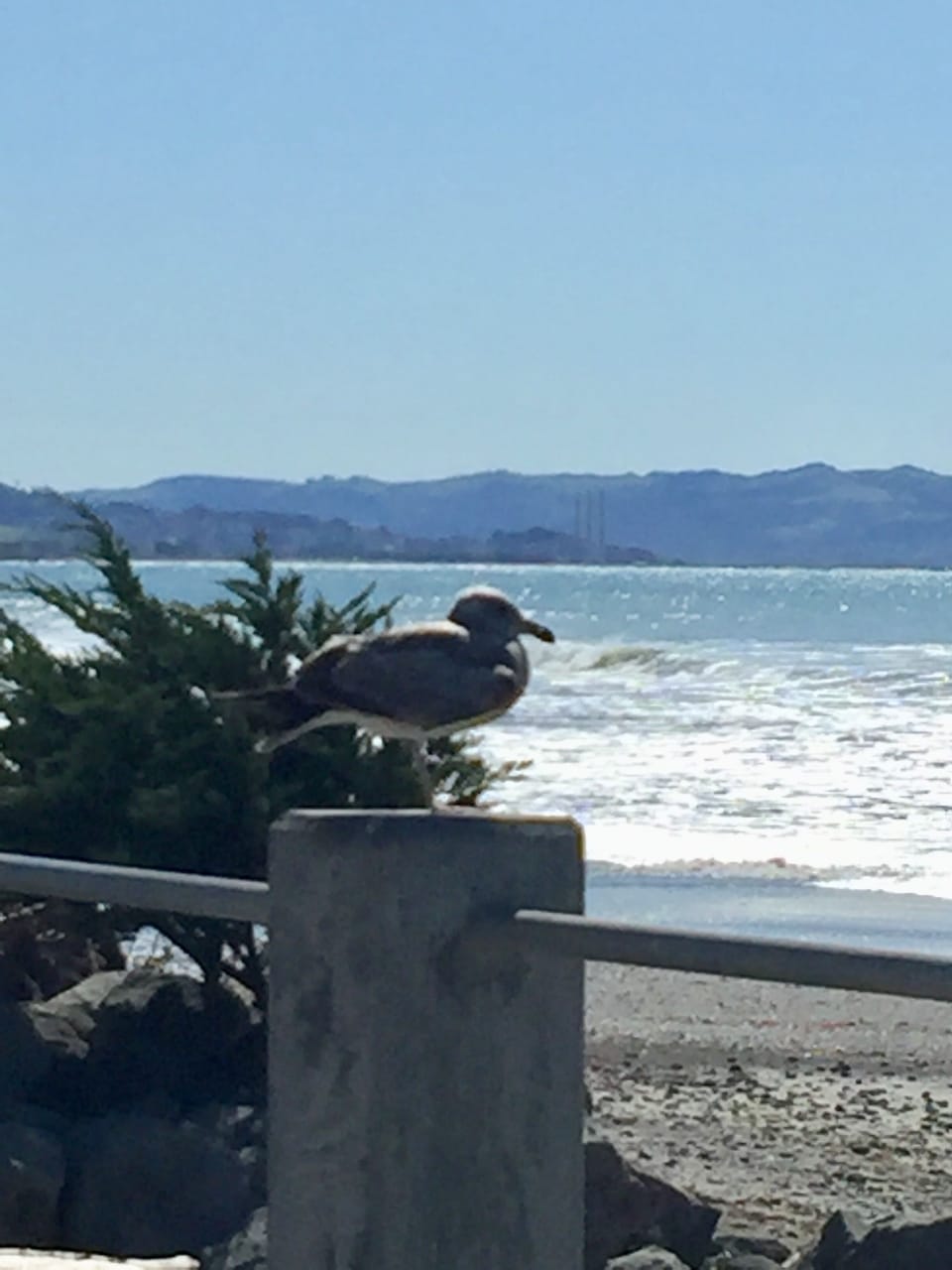 Beach/ocean view