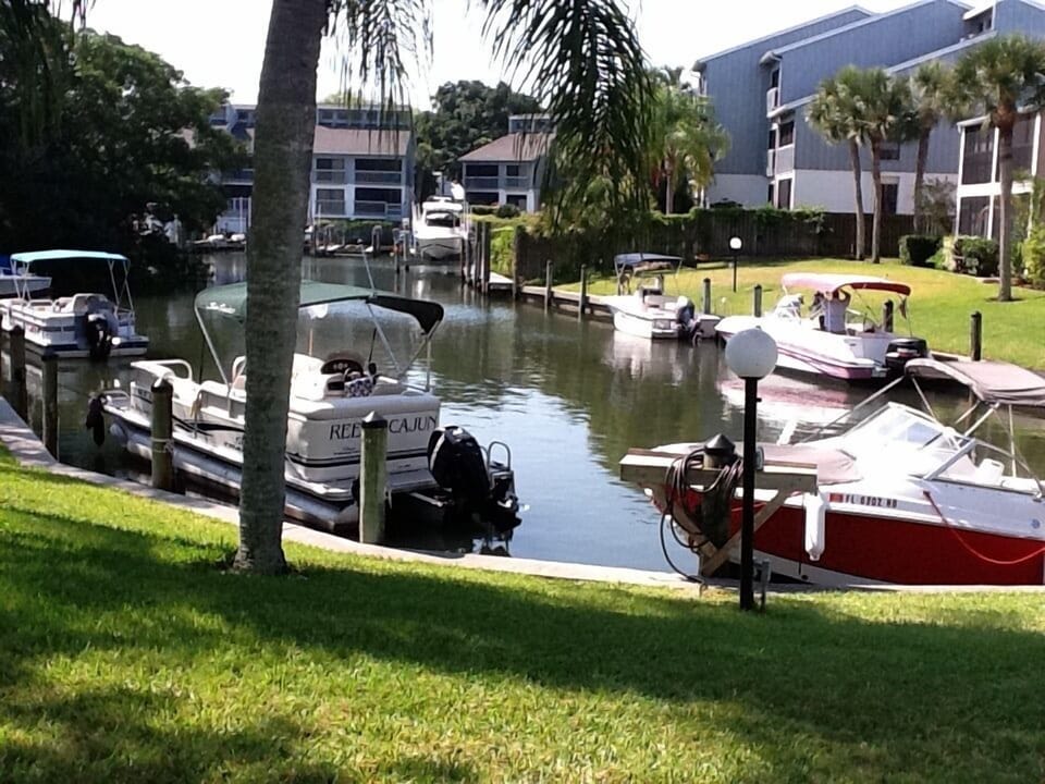 View from the lanai. We've seen manatees come in from the intercoastal water.