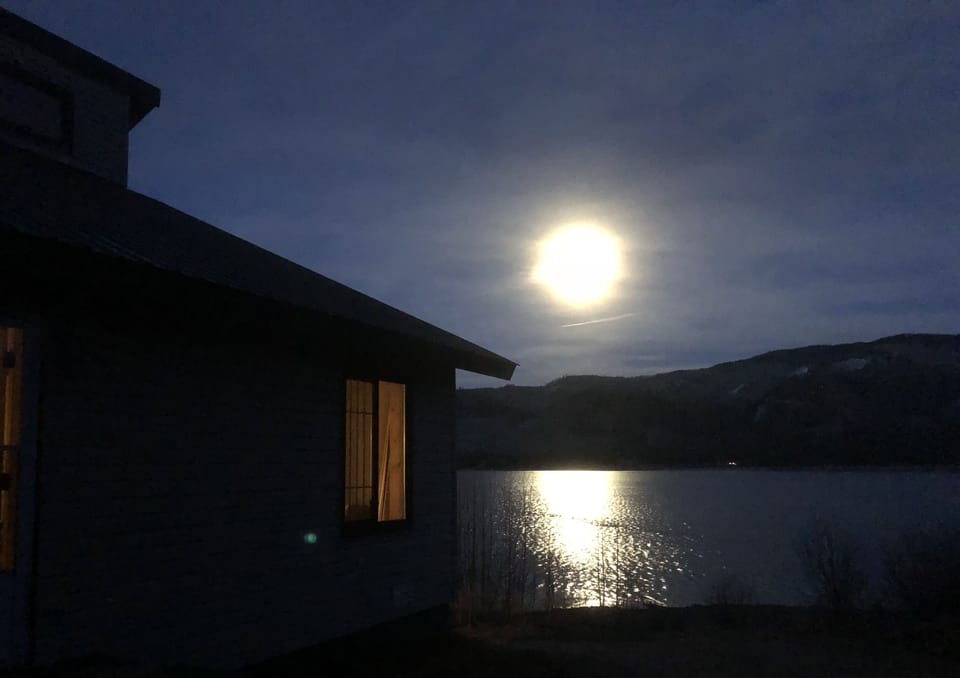Moonrise from side yard; Check your moon calendar