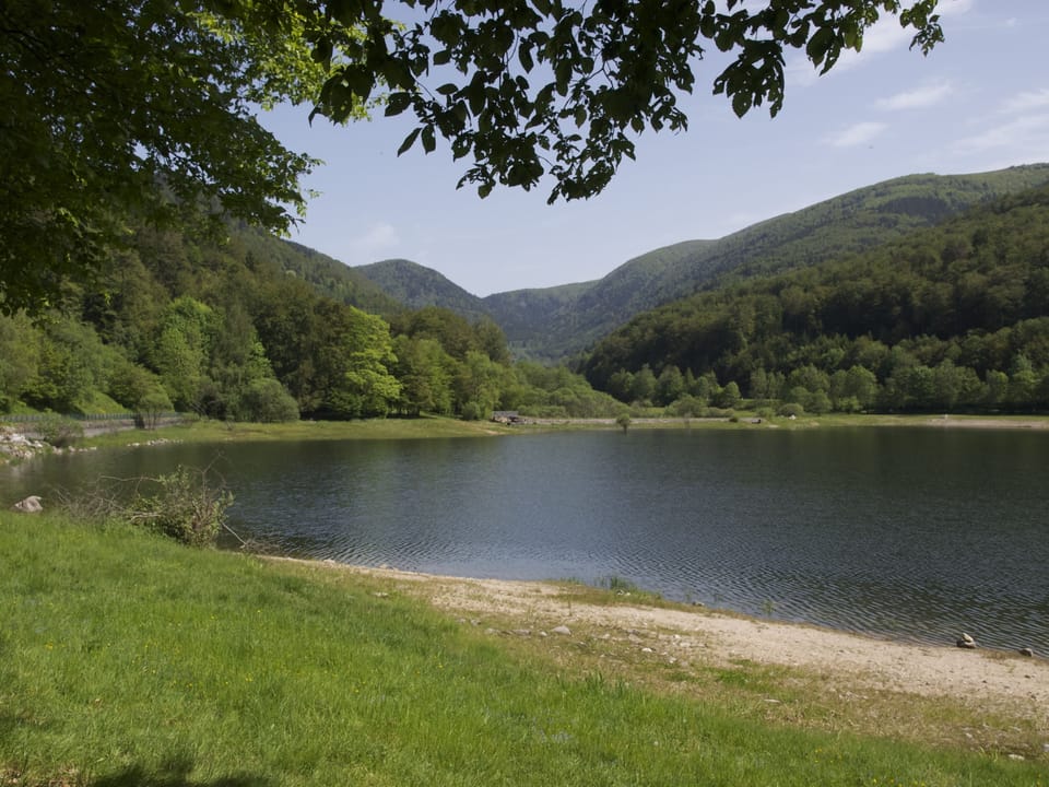 Lake