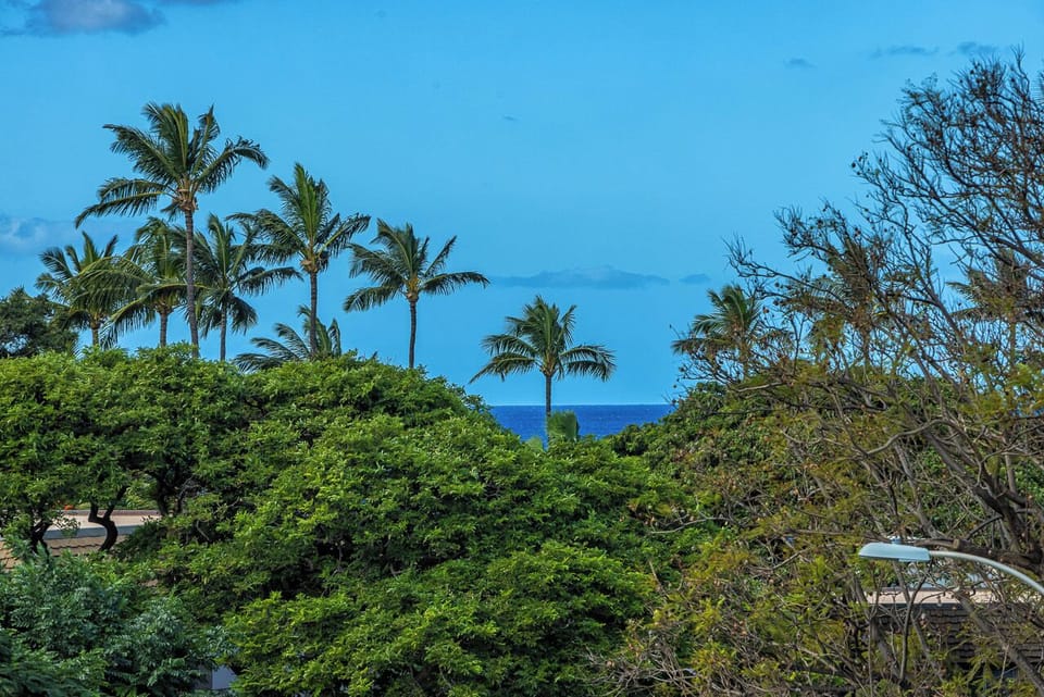 Peek-a-boo ocean views