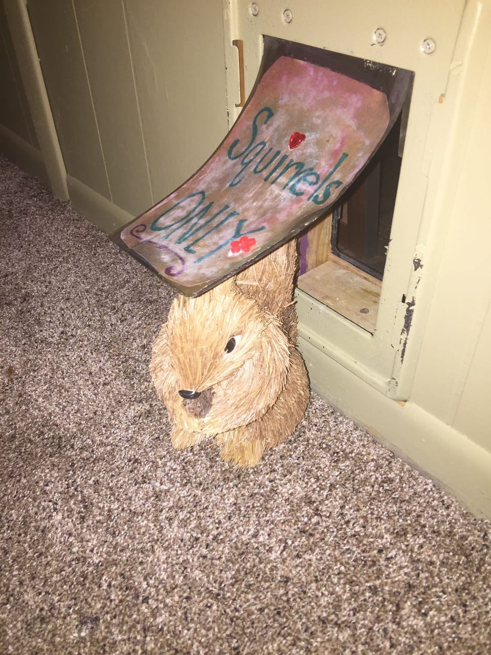 Over 50 squirrels live on the property