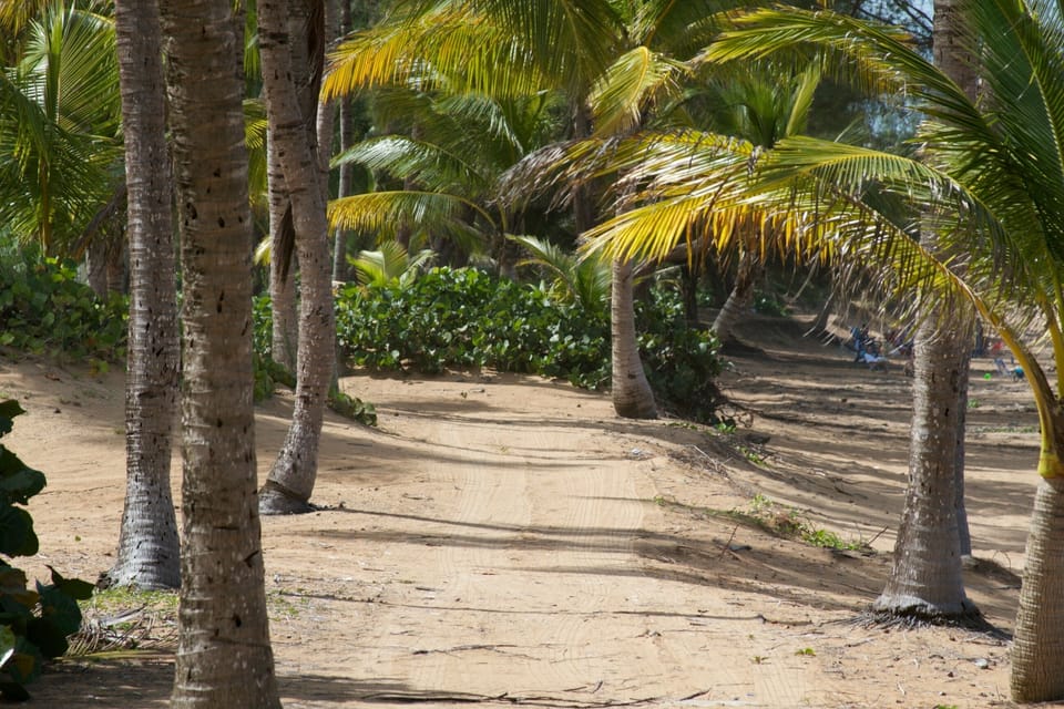 Walking trail at the beach