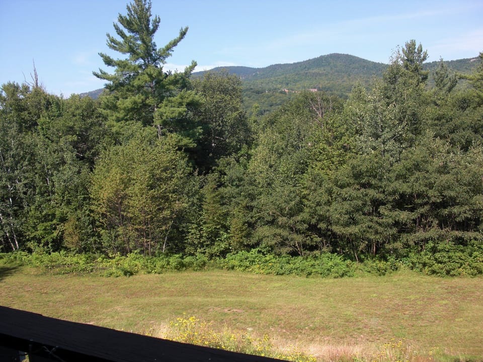 Back porch view