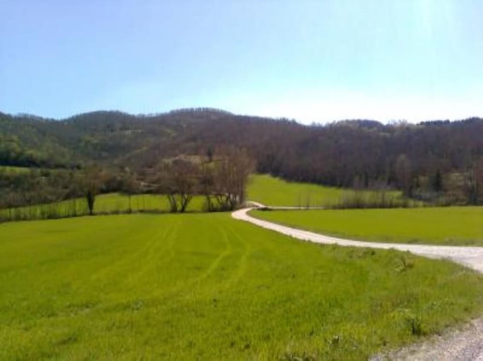 Mountain view