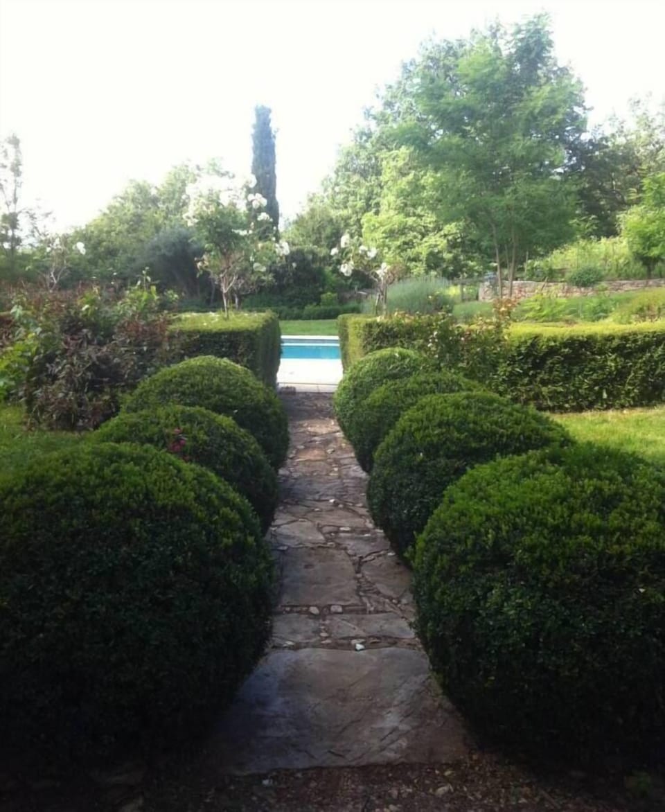 Garden, Park
