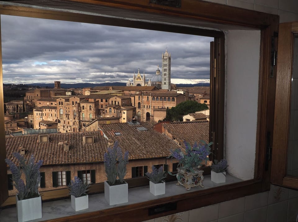 view from the kitchen