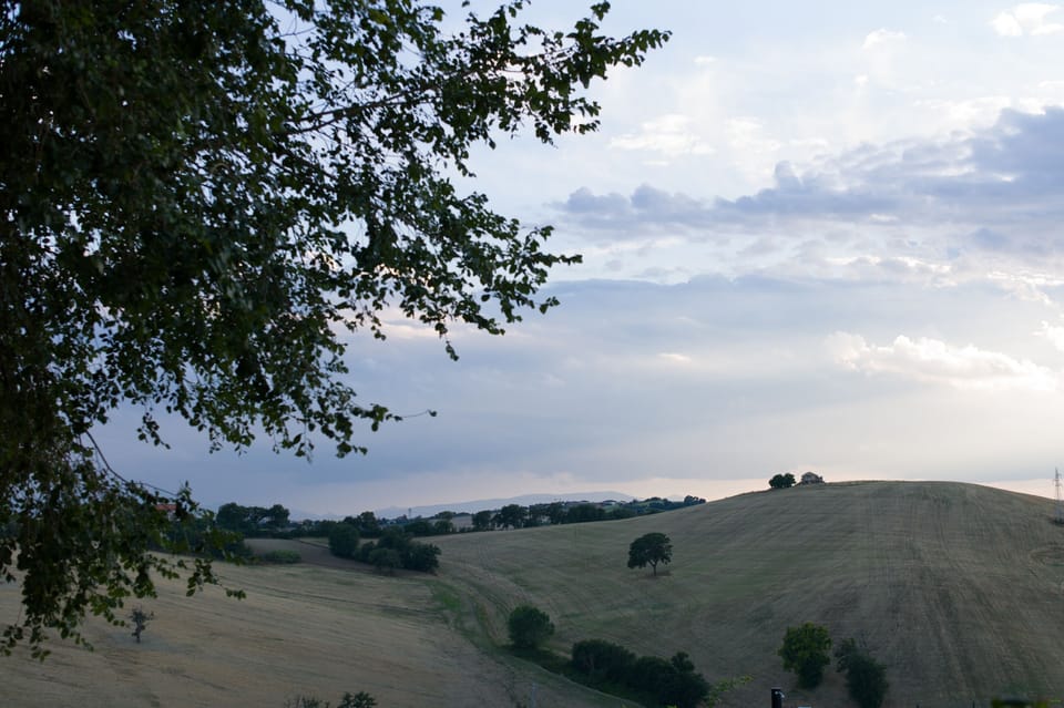 The rolling hills