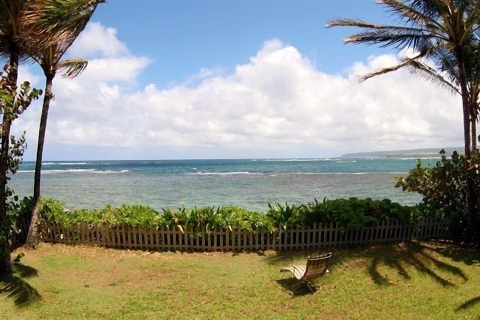Oceanfront large level yard. Another day in paradise